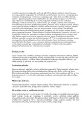 Amfetaminas. Rašto darbas  2 puslapis