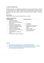 Amfetaminas. Rašto darbas  3 puslapis