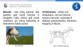 Ožkų auginimas, biologinė įvairovė, paplitimas 5 puslapis