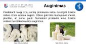 Ožkų auginimas, biologinė įvairovė, paplitimas 6 puslapis