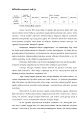 Europos Sąjungos (ES) valiuta ir Lietuva 12 puslapis