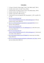 Europos Sąjungos (ES) valiuta ir Lietuva 15 puslapis