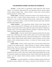 Pirminės sveikatos priežiūros centro valdymo tobulinimo kryptys ir galimybės 6 puslapis