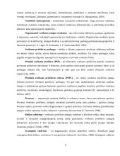 Pirminės sveikatos priežiūros centro valdymo tobulinimo kryptys ir galimybės 7 puslapis