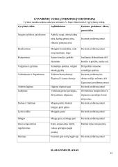 Vaikų slaugos praktikos ataskaita ir dienoraštis 11 puslapis