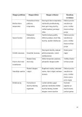 Vaikų slaugos praktikos ataskaita ir dienoraštis 12 puslapis