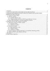 Europos Sąjungos paramos Lietuvos socialinei politikai aspektai 2 puslapis