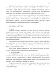 Europos Sąjungos paramos Lietuvos socialinei politikai aspektai 13 puslapis