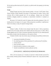 Europos sąjungos problemos 9 puslapis