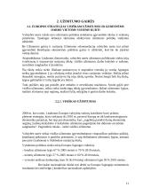 Europos Sąjungos užimtumo strategija 10 puslapis