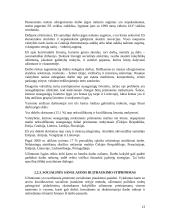 Europos Sąjungos užimtumo strategija 12 puslapis