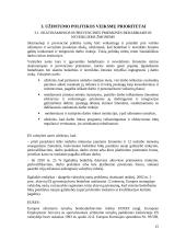 Europos Sąjungos užimtumo strategija 14 puslapis