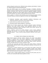 Europos Sąjungos užimtumo strategija 15 puslapis