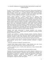 Europos Sąjungos užimtumo strategija 16 puslapis