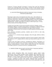 Europos Sąjungos užimtumo strategija 17 puslapis