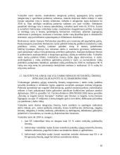 Europos Sąjungos užimtumo strategija 19 puslapis