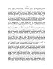 Europos Sąjungos užimtumo strategija 2 puslapis