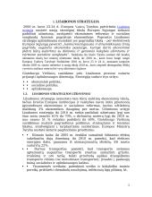 Europos Sąjungos užimtumo strategija 4 puslapis