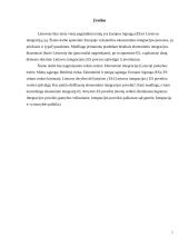 Europos Sąjungos vidaus rinka ir Lietuva 2 puslapis