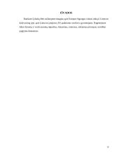 Europos Sąjungos vidaus rinka ir Lietuva 16 puslapis