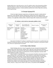 Europos Sąjungos vidaus rinka ir Lietuva 5 puslapis