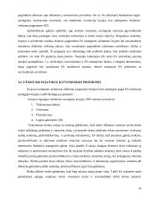 Europos socialinės ir užimtumo politikos įgyvendinimas Lietuvoje 15 puslapis