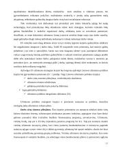 Europos socialinės ir užimtumo politikos įgyvendinimas Lietuvoje 16 puslapis