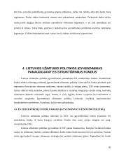 Europos socialinės ir užimtumo politikos įgyvendinimas Lietuvoje 19 puslapis