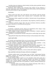 Europos užimtumo strategija, Šengenas ir Lietuvos švietimas įstojus į Europos Sąjungą (ES) 3 puslapis