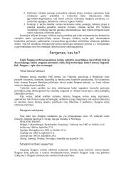 Europos užimtumo strategija, Šengenas ir Lietuvos švietimas įstojus į Europos Sąjungą (ES) 4 puslapis