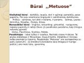 Viskas apie K. Donelaičio poemą ,,Metai” 13 puslapis