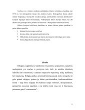 Europos vieningumo ir tautinio identiteto problema 13 puslapis