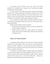 Europos vieningumo ir tautinio identiteto problema 4 puslapis