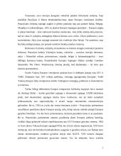 Europos vieningumo ir tautinio identiteto problema 5 puslapis