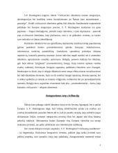 Europos vieningumo ir tautinio identiteto problema 9 puslapis