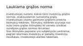 Investicijų grąža ir rizika 16 puslapis