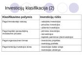 Įmonės investicinė veikla 11 puslapis
