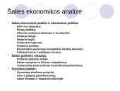 Įmonės investicinė veikla 18 puslapis