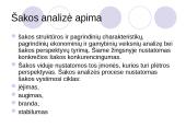 Įmonės investicinė veikla 19 puslapis