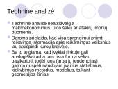 Įmonės investicinė veikla 20 puslapis