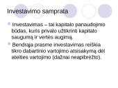 Įmonės investicinė veikla 3 puslapis
