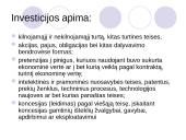 Įmonės investicinė veikla 6 puslapis