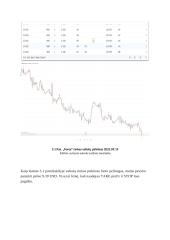 Valiutų rinkos prekybos analizė 13 puslapis