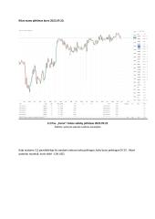 Valiutų rinkos prekybos analizė 14 puslapis