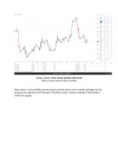 Valiutų rinkos prekybos analizė 16 puslapis