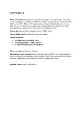 Valiutų rinkos prekybos analizė 2 puslapis