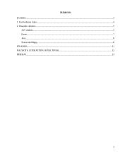 Eurovaliutų rinka pasaulinės kapitalo rinkos kontekste 2 puslapis