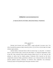 Evakuacijos planavimas, organizavimas, vykdymas