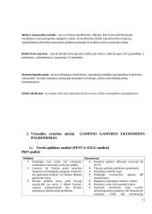 Gaminio gamybos ekonominis pagrindimas 9 puslapis