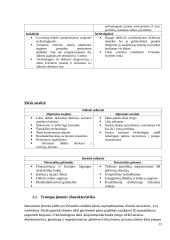 Gaminio gamybos ekonominis pagrindimas 10 puslapis